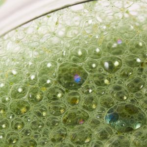 Daily Greens Travel Packs